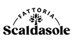 logo-Scaldasole