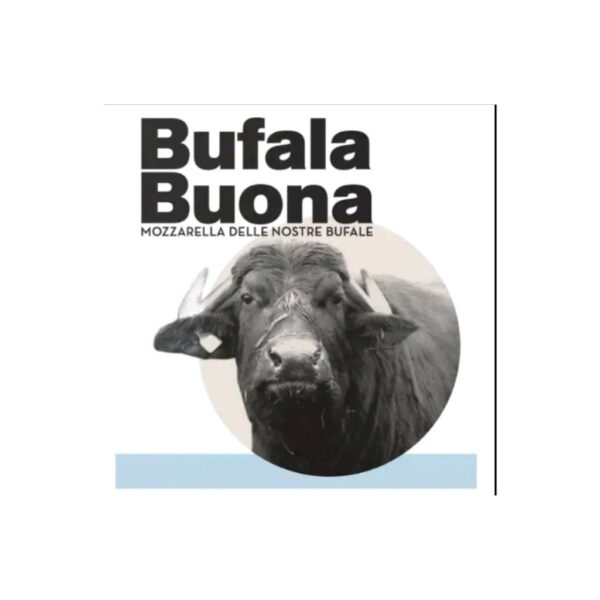 6 Bocconcini da 90 gr - Bufala Buona