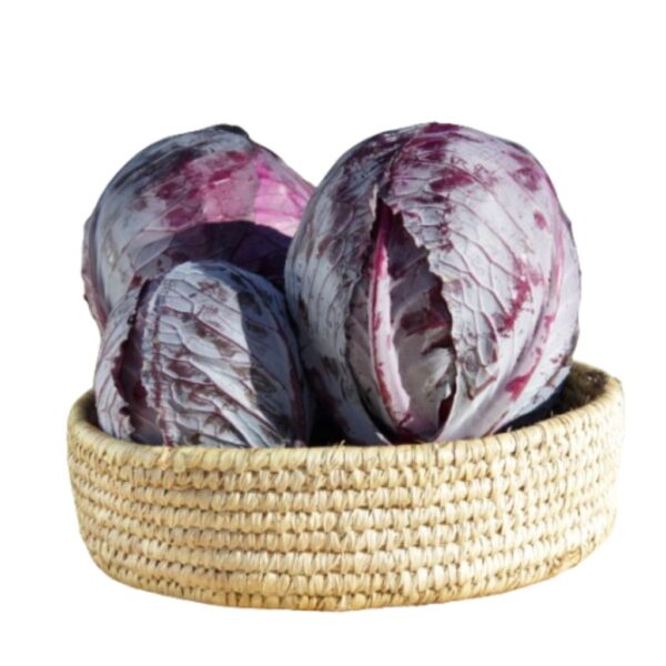 Cavolo Cappuccio Viola