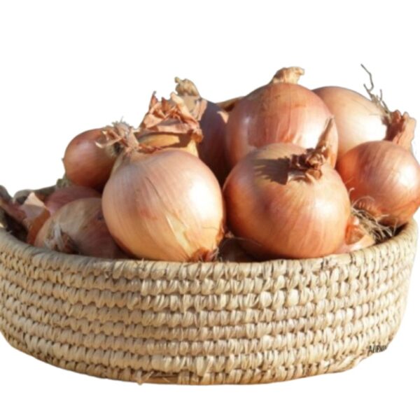 Cipolle Dorate secche