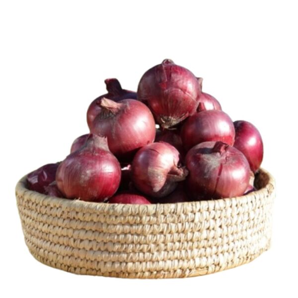 Cipolle Rosse secche
