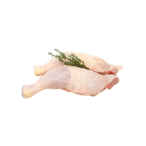 Coscia e sovracoscia di Pollo