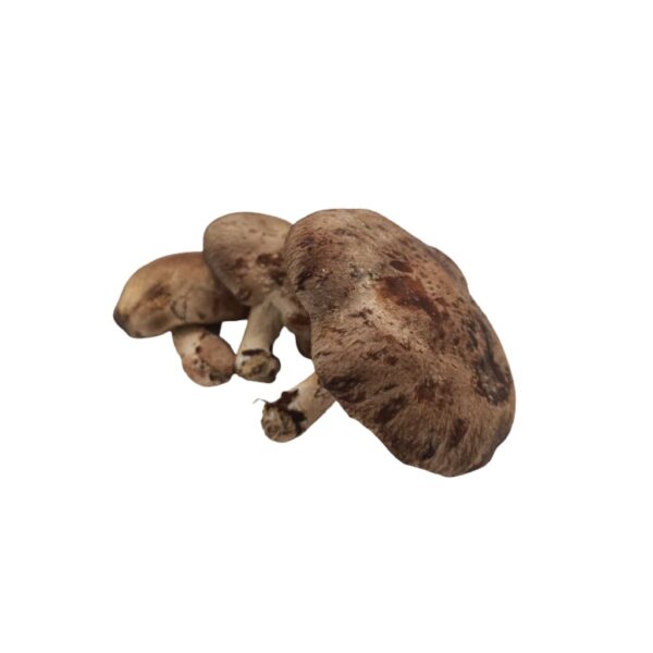 Funghi Shitake 300g