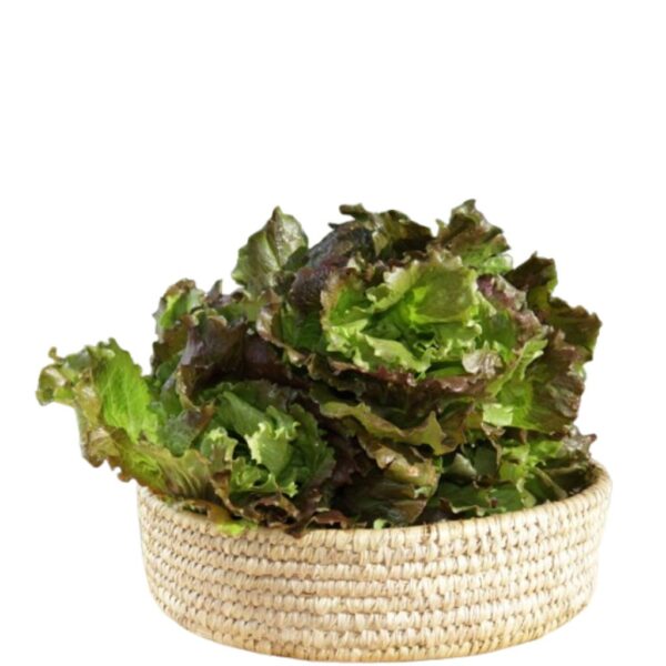 Insalata Canasta rossa