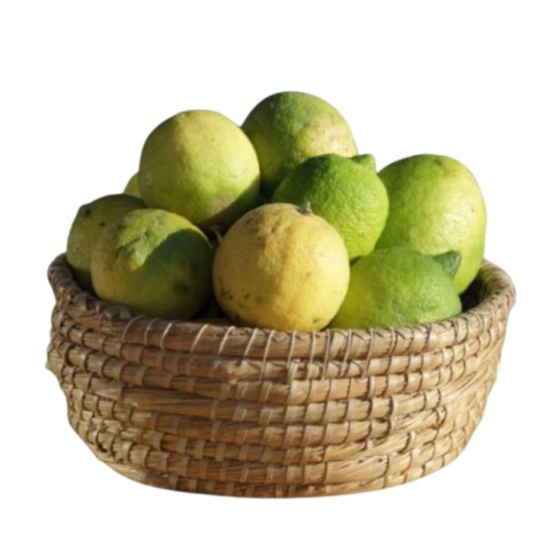 Limoni