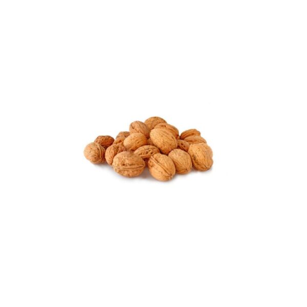 Noci con guscio
