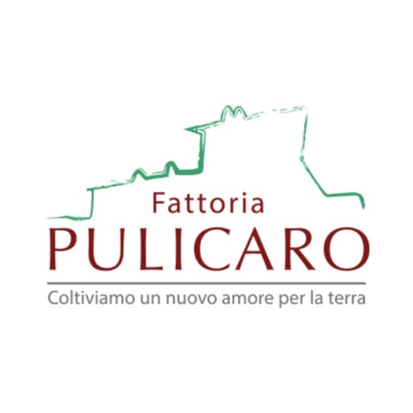 Pollastra Busto