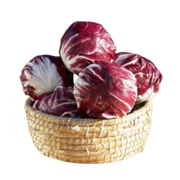 Radicchio tondo di Chioggia