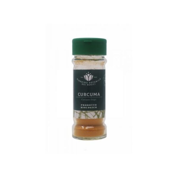 Curcuma bio polvere