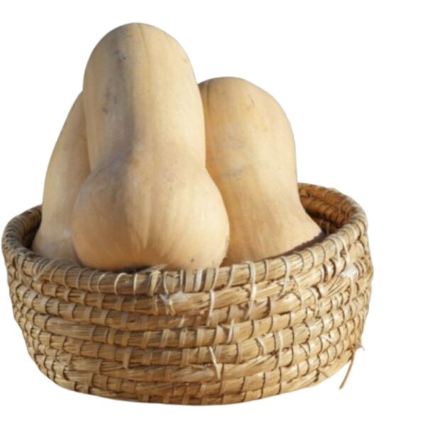 Zucca Butternut