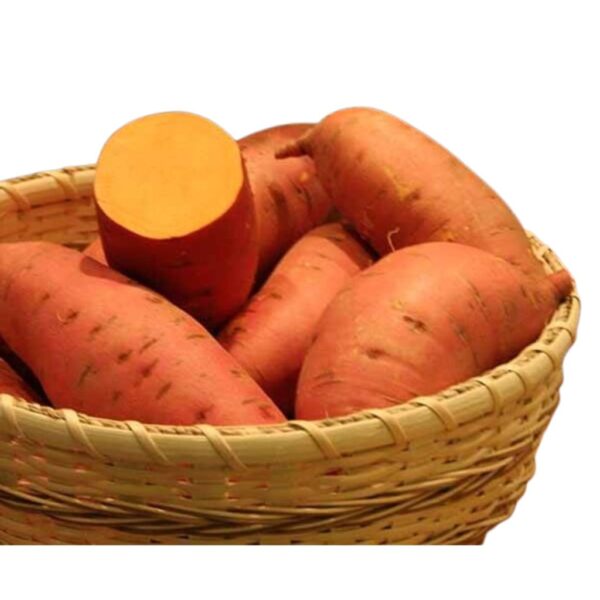 Batata rossa