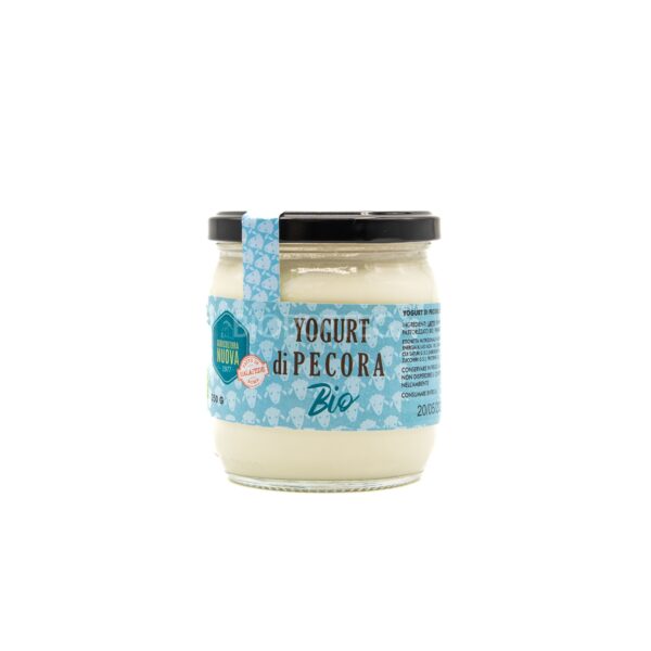 Yogurt di Pecora