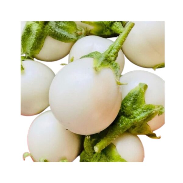 Melanzane Bianche