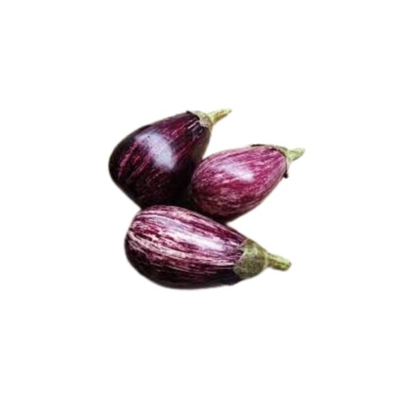 Melanzane Viola Striate