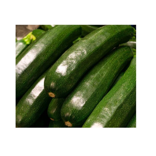 Zucchine lisce scure